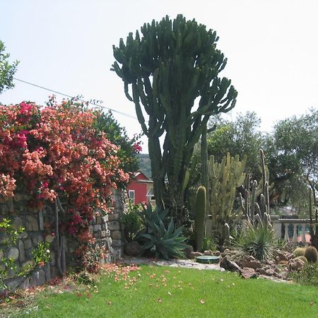 Villa Ca Dei Conti San Bartolomeo Al Mare Zimmer foto