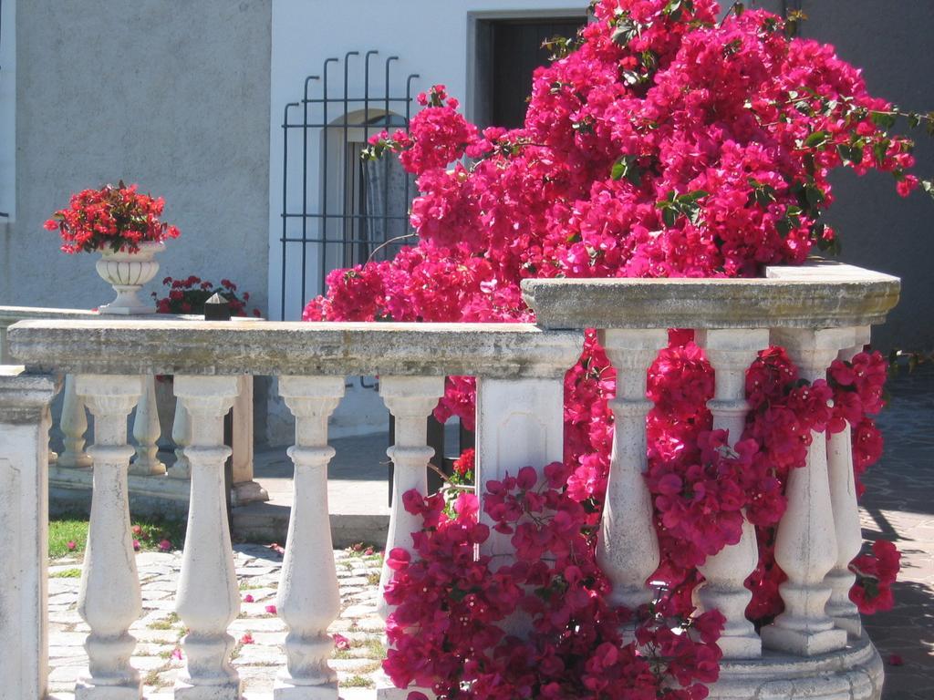 Villa Ca Dei Conti San Bartolomeo Al Mare Zimmer foto